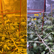 Load image into Gallery viewer, Chroma Clip HPS - The First Grow Room Photo Filter for Your Phone